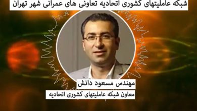 شبکه عاملیتهای کشوری