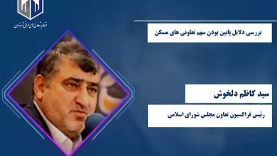 سید کاظم دلخوش رئیس فراکسیون تعاون مجلس