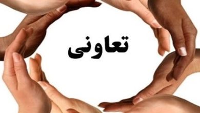 بیشترین تعداد اعضاء متعلق به کدام تعاونیهاست؟