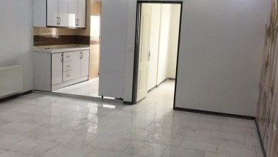 گروه سنی نایاب در بازار اجاره نقلی‌‌‌ها